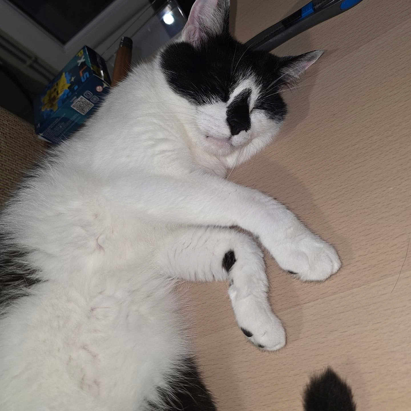 Blanco