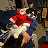 cat, black_and_white_cat, pet, indoor, person_holding_cat, clothing, santa_outfit, festive, home, refrigerator, magnet, notes, clothes, hanger, floor, red_rug, hand, curious, animal, cute