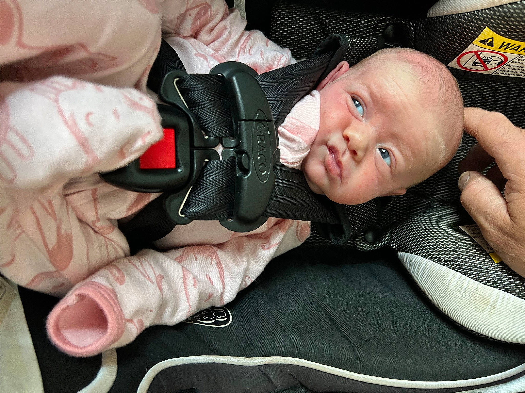 Lucy joined the competition — help win amazing prizes! auto_part, baby, baby_products, baby_toddler_clothing, car_seat, cheek, child, comfort, eyelash, fashion_accessory, gesture, hand, linens, mouth, nail, person, sitting, skin, thumb, toddler