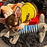 Bucky a rejoint le concours — aidez-le/la à gagner de superbes lots ! dog, puppy, chihuahua, sleeping, yellow_sweater, plush_toy, toy_shark, pet_bed, fuzzy_blanket, paw, ear, indoor, cozy, cute, soft_texture, red_blanket, grey_bed, nose, striped_toy, snuggling