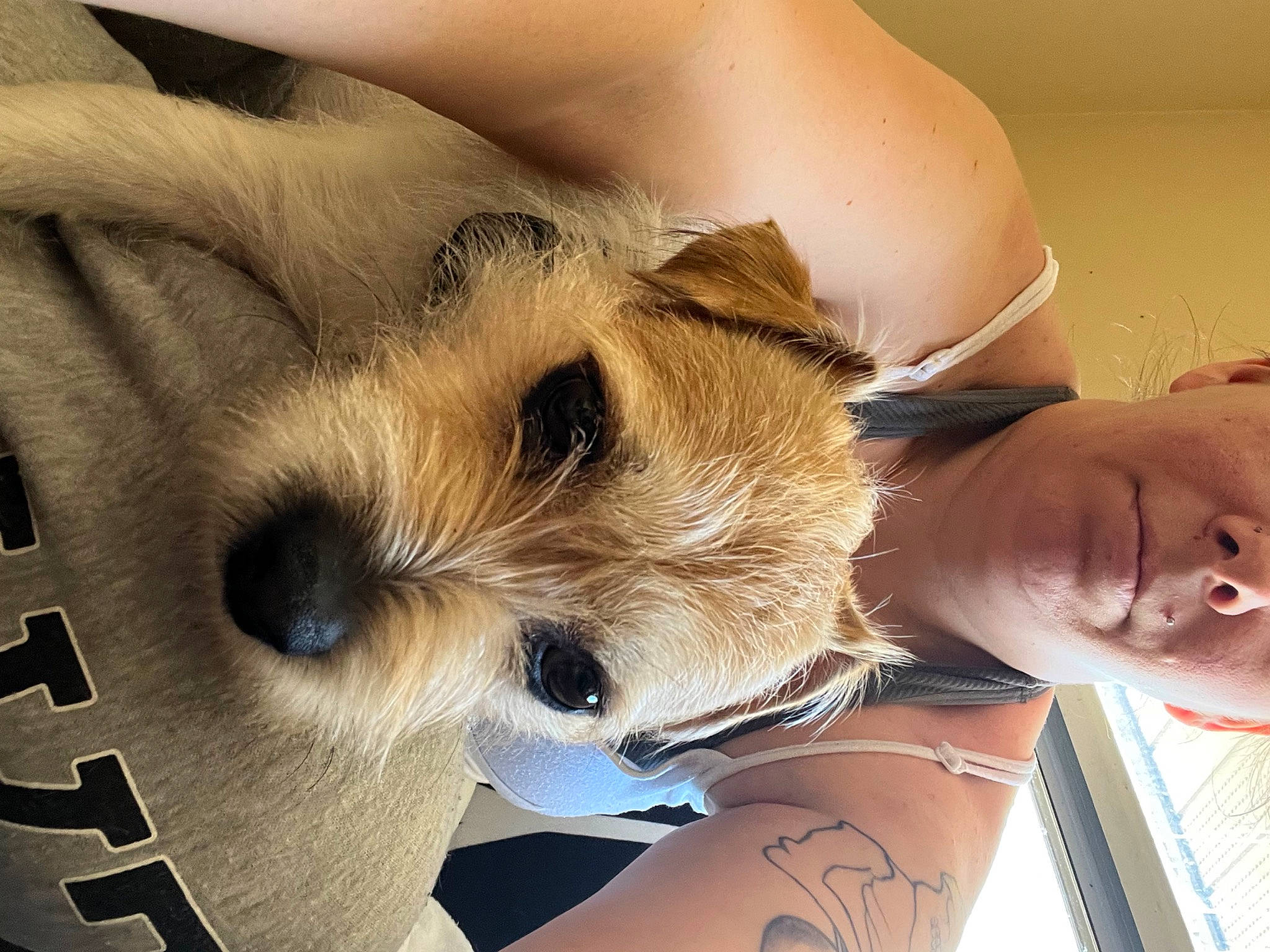 Boomer is registered to the contest to win money with this photo: abdomen, brown_hair, chest, close_up, companion_dog, eyebrow, eyelash, fawn, felidae, fur, happy, human_leg, neck, selfie, stuffed_toy, sunglasses, tattoo, toy, trunk, whiskers