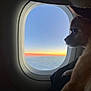 dog, airplane_window, sunset, sky, clouds, pet, travel, silhouette, side_view, animal, window_frame, orange_hue, blue_sky, domestic_animal, cute, indoor, closeup, calm, profile, resting