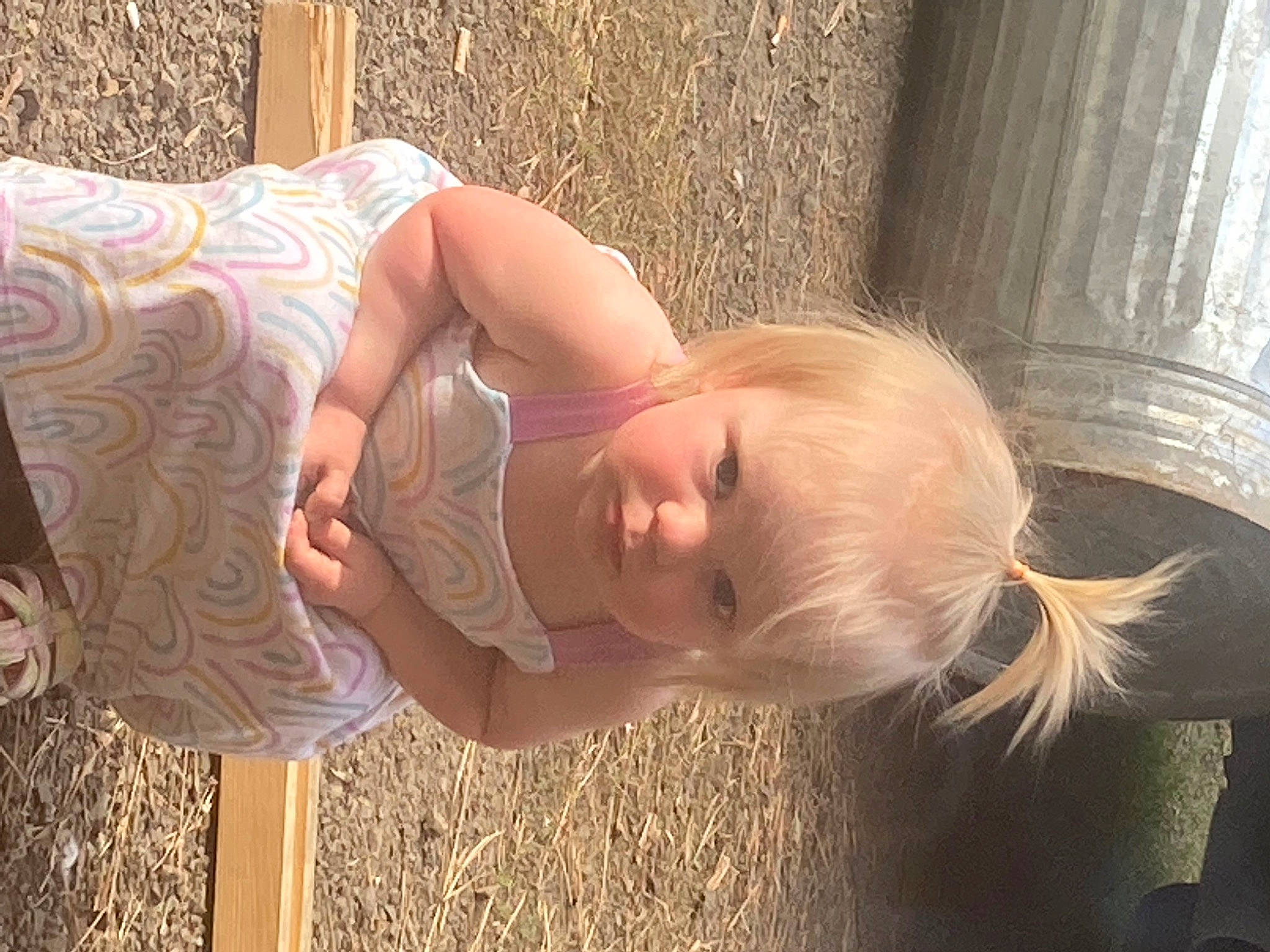 Lillianne joined the competition — help win amazing prizes! baby, blond, brown_hair, chest, dress, fawn, fun, glasses, grass, hair, happy, human_body, human_leg, leisure, people_in_nature, person, sitting, sunglasses, toddler, tree
