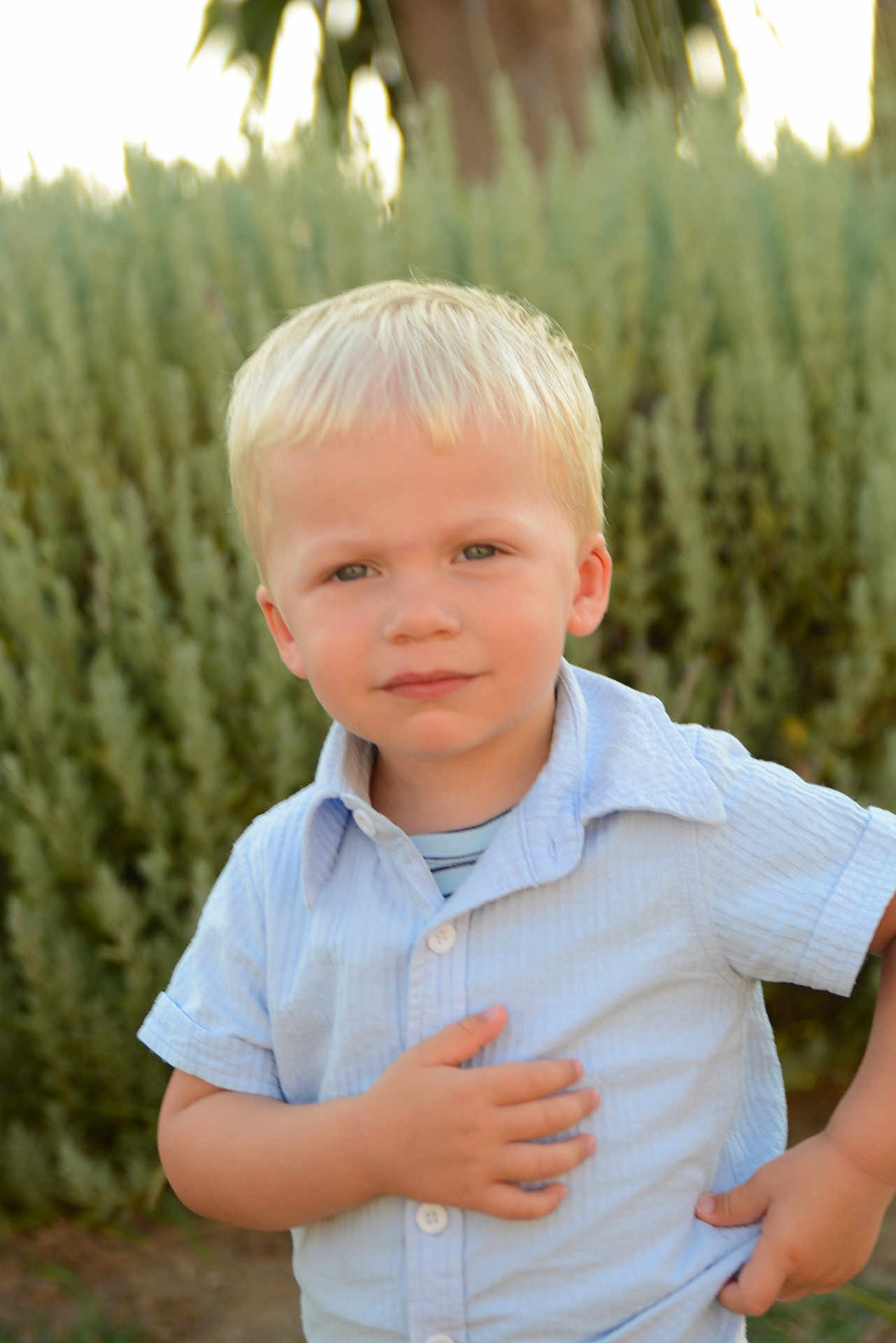Leo a rejoint le concours — aidez-le/la à gagner de superbes lots ! child, toddler, blond_hair, blue_shirt, outdoor, greenery, portrait, young_child, curious_expression, nature, casual_clothing, standing, daylight, short_sleeves, person, face, hands, garden, summer, cute