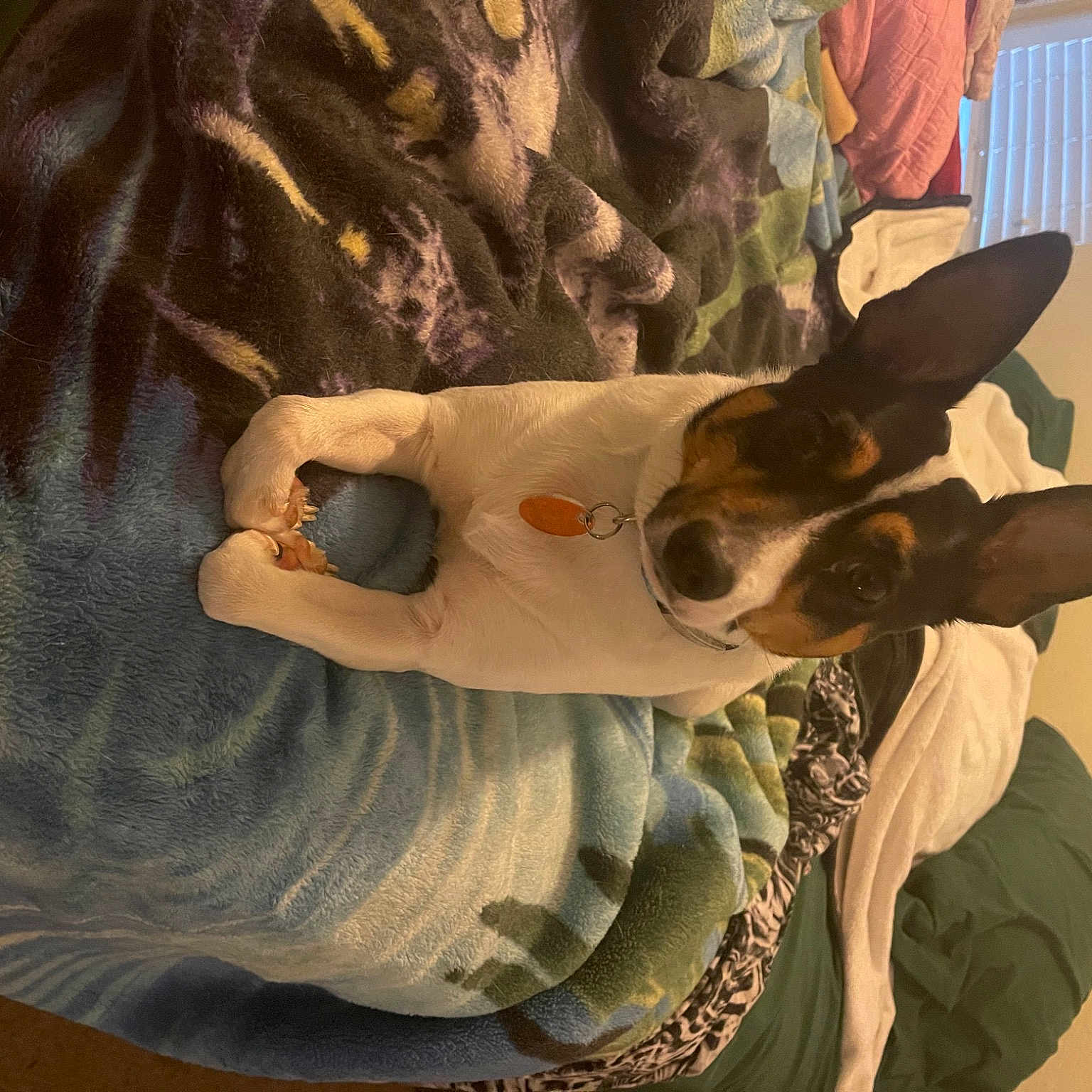 Jax