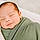 Mason