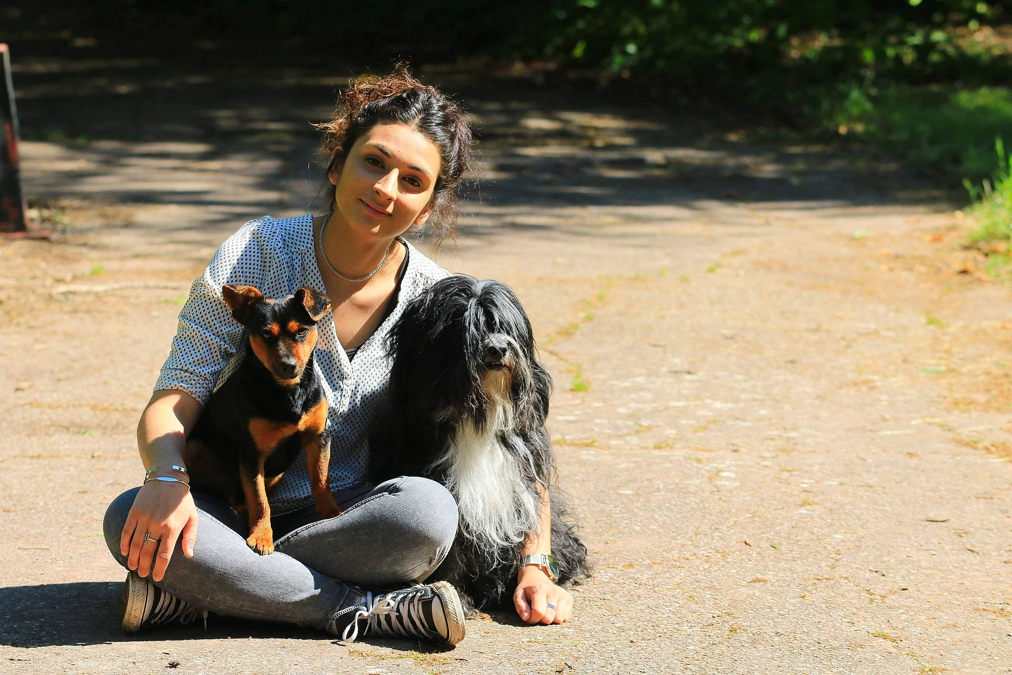 Bing'Go participe au concours pour gagner de l'argent avec cette photo : canidae, carnivore, companion_dog, dog, dog_breed, fox_terrier, happy, jeans, mammal, sitting, smooth_collie, sporting_group, working_dog