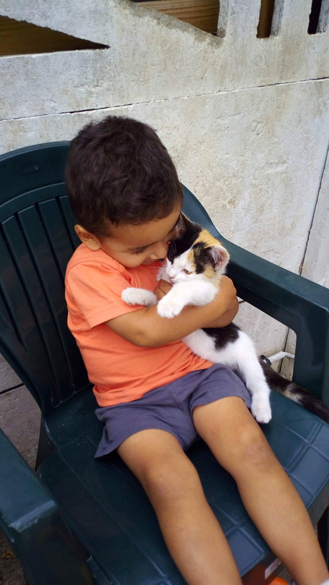 Cookie a rejoint le concours — aidez-le/la à gagner de superbes lots ! canidae, carnivore, companion_dog, dog_breed, lap, leg, puppy, sitting, sporting_group