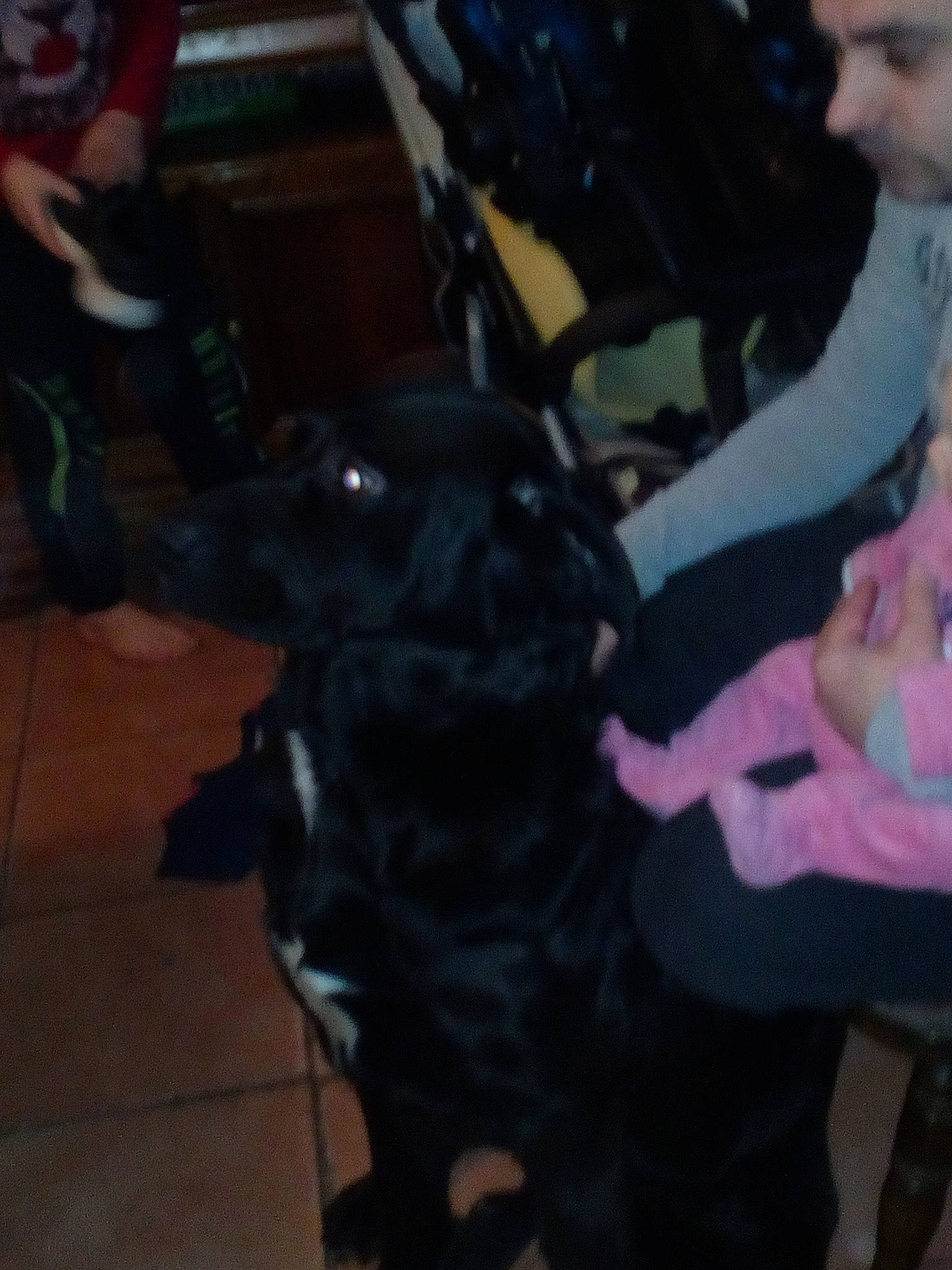 Blak participe au concours pour gagner de l'argent avec cette photo : leg, person