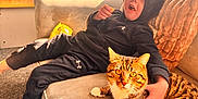 Shadow joined the competition — help win amazing prizes! child, cat, couch, indoor, window, sunlight, tabby_cat, black_clothing, hoodie, carpet, pillow, snack, relaxing, home, pet, furniture, cozy, orange_eyes, curtains, hand