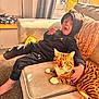 child, cat, couch, indoor, window, sunlight, tabby_cat, black_clothing, hoodie, carpet, pillow, snack, relaxing, home, pet, furniture, cozy, orange_eyes, curtains, hand