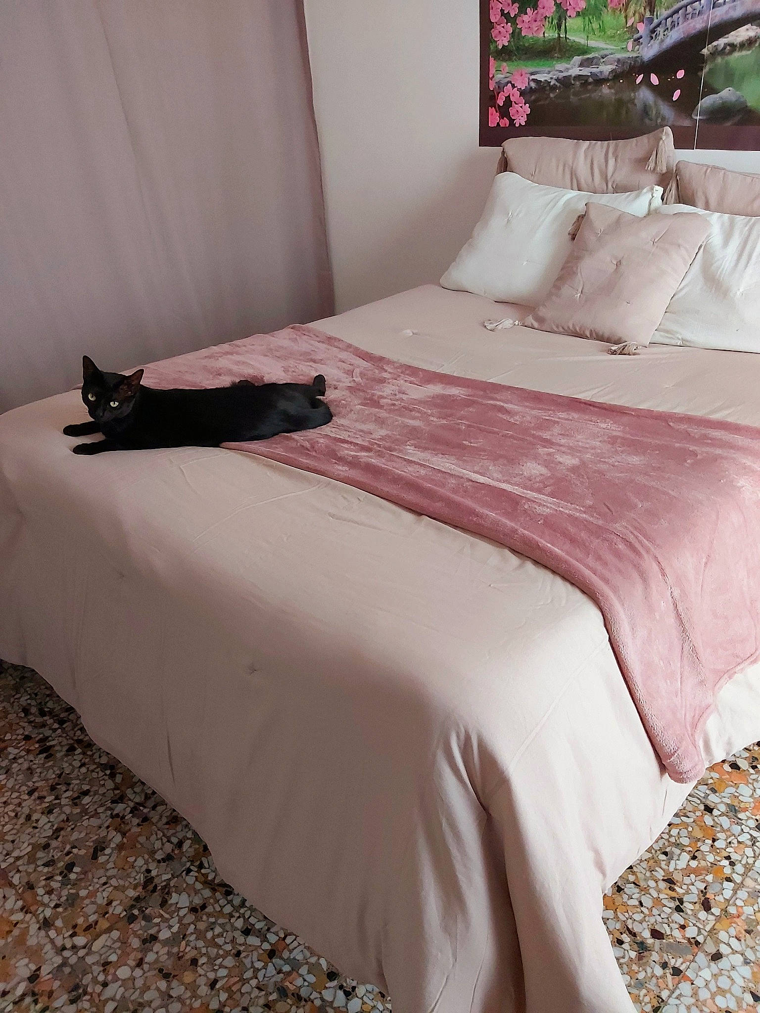 Phebi a rejoint le concours — aidez-le/la à gagner de superbes lots ! bed, bed_frame, bed_sheet, bed_skirt, bedding, bedroom, blanket, duvet, duvet_cover, floor, furniture, interior_design, linens, mattress, pillow, pink, room, textile