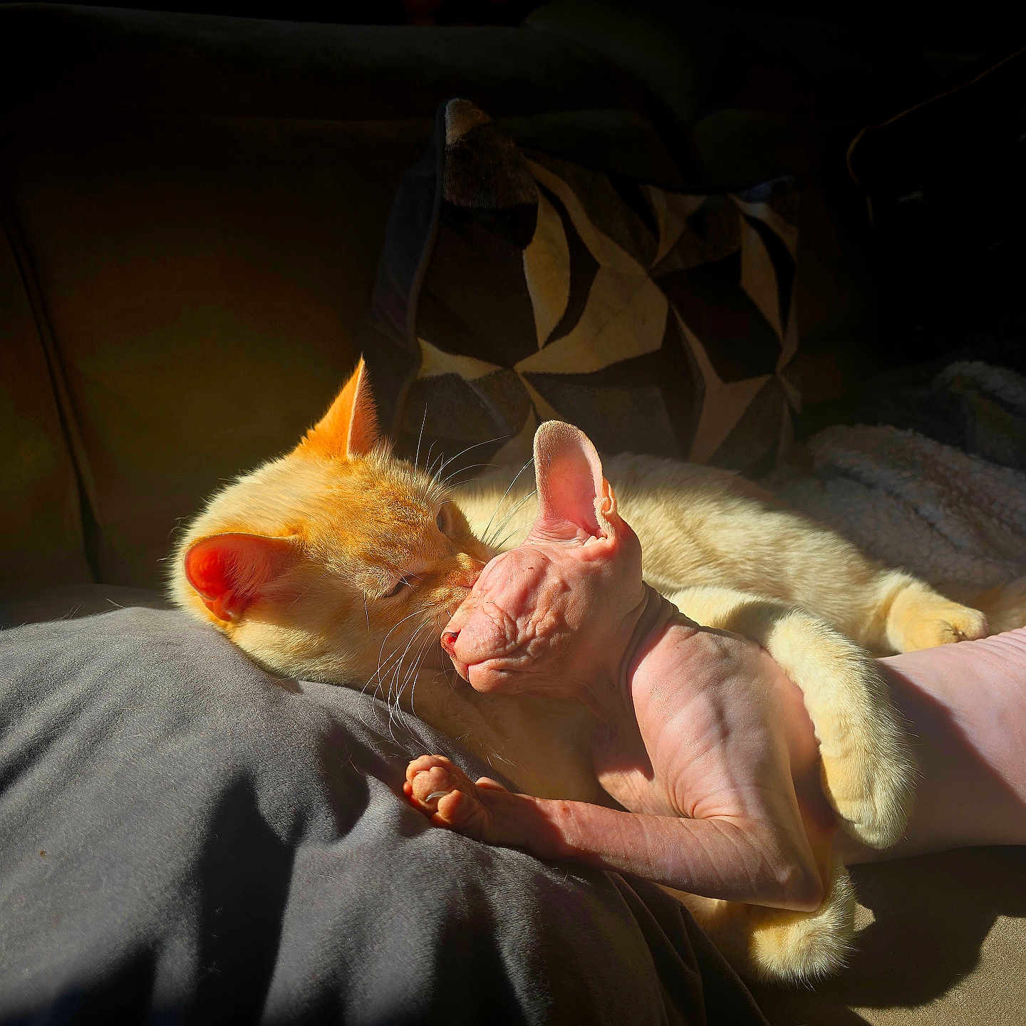 Wendy Et Roméo