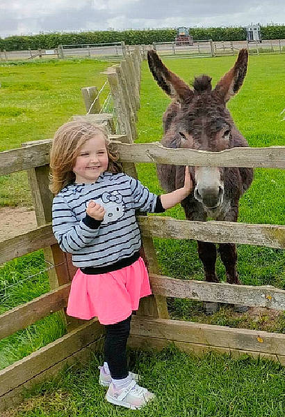 Isla joined the competition — help win amazing prizes! cloud, fawn, fence, grass, grassland, happy, joy, landscape, livestock, mammal, pack_animal, people_in_nature, person, plant, shorts, sky, smile, terrestrial_animal, toddler, tree