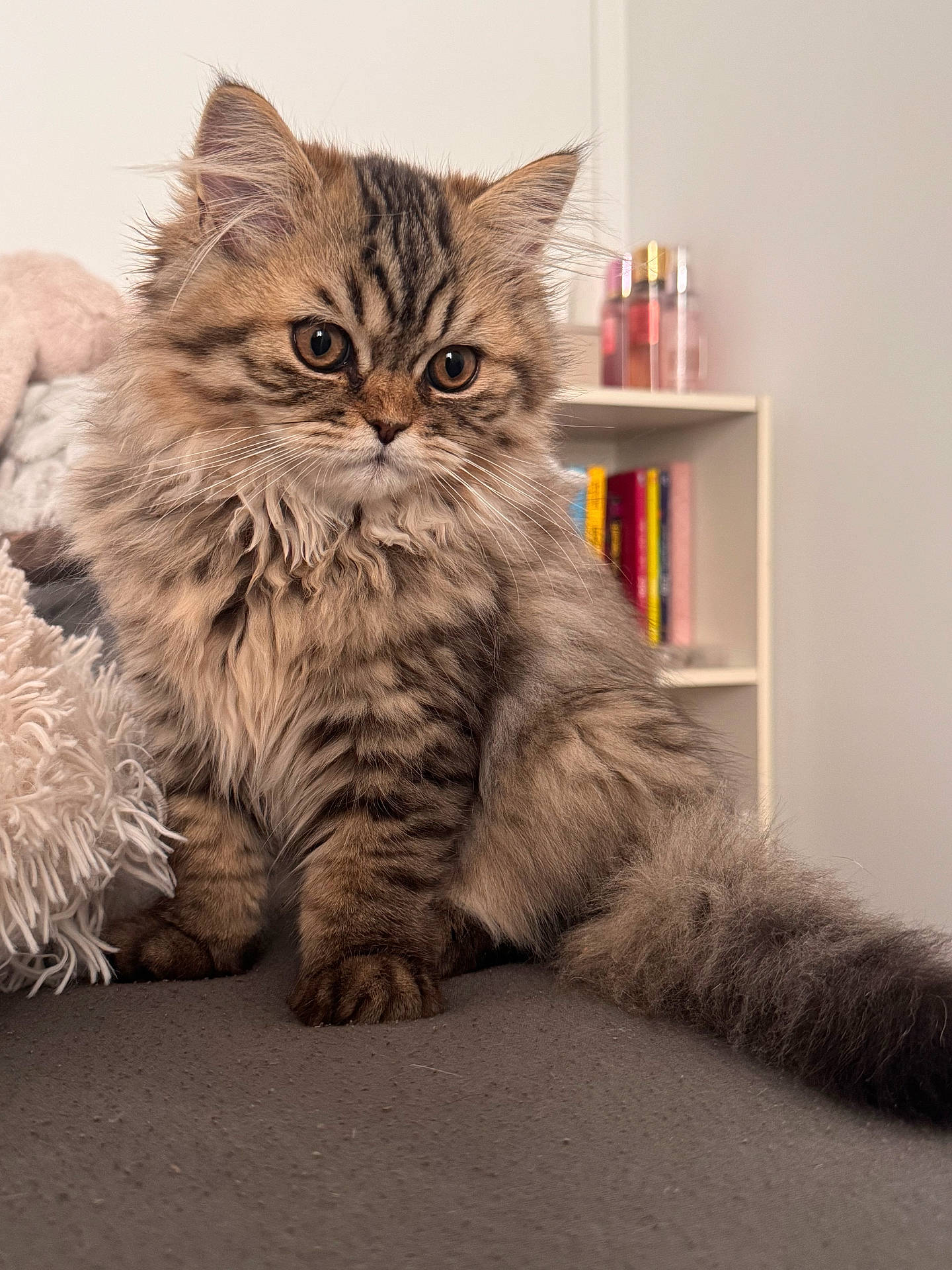 Milo