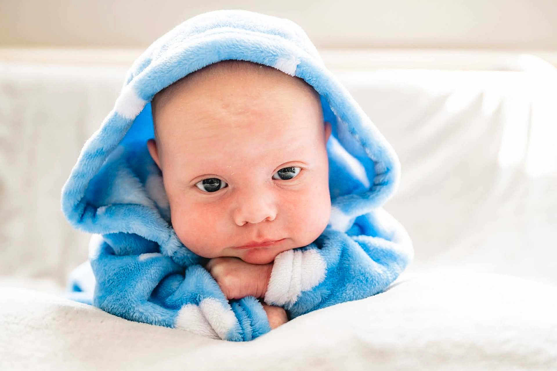 Leo joined the competition — help win amazing prizes! baby, blue_hood, blanket, child, cute, face, fluffy, hood, infant, indoors, looking_down, portrait, resting, soft_texture, white_background, young_child, cozy, hands, expression, closeup
