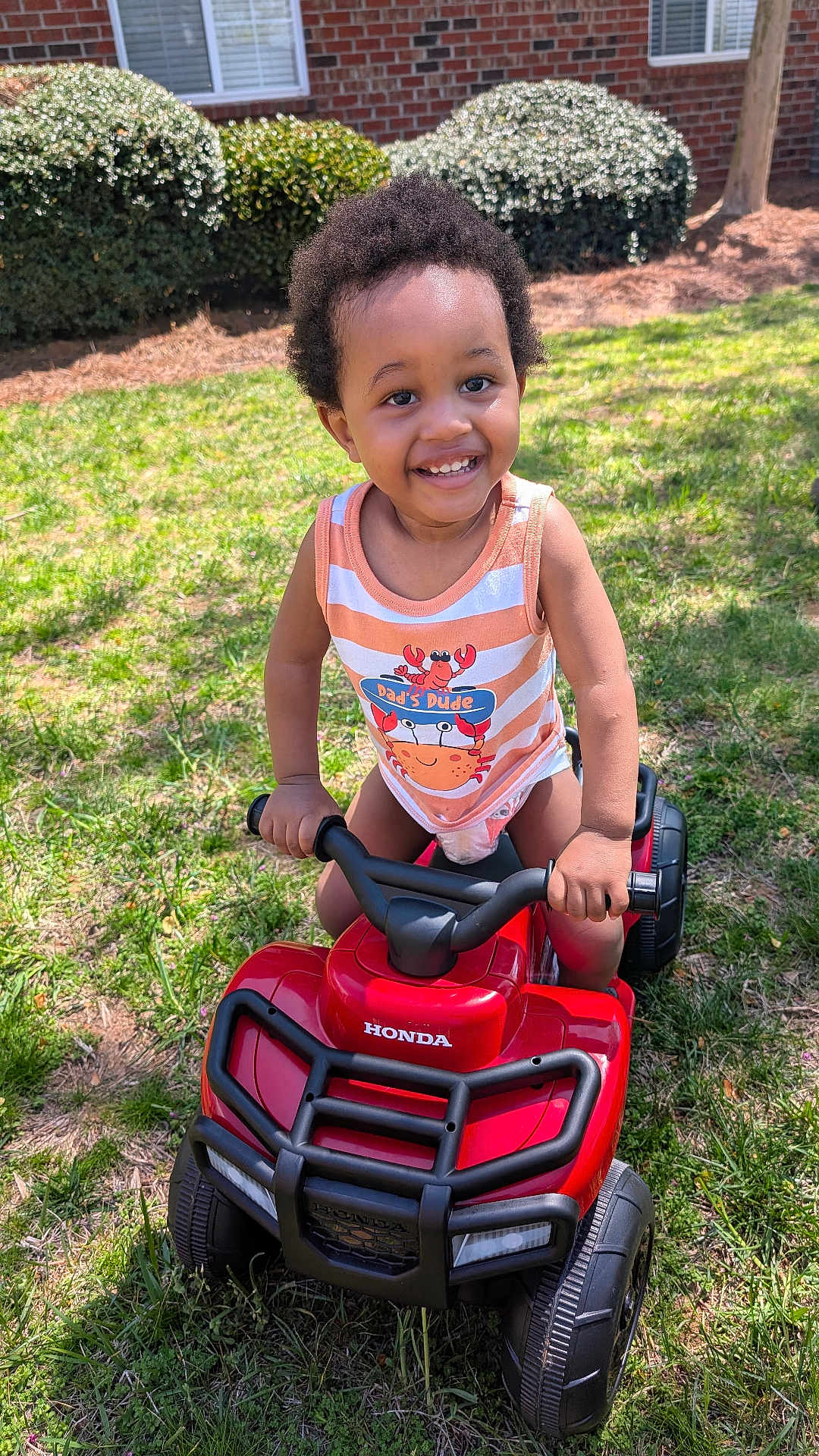 Princeton is registered to the contest to win money with this photo: toddler, child, smiling, toy, atv, red, grass, outdoor, sunny, greenery, bushes, brick_wall, happy, play, vehicle, person, summer, nature, daylight, fun