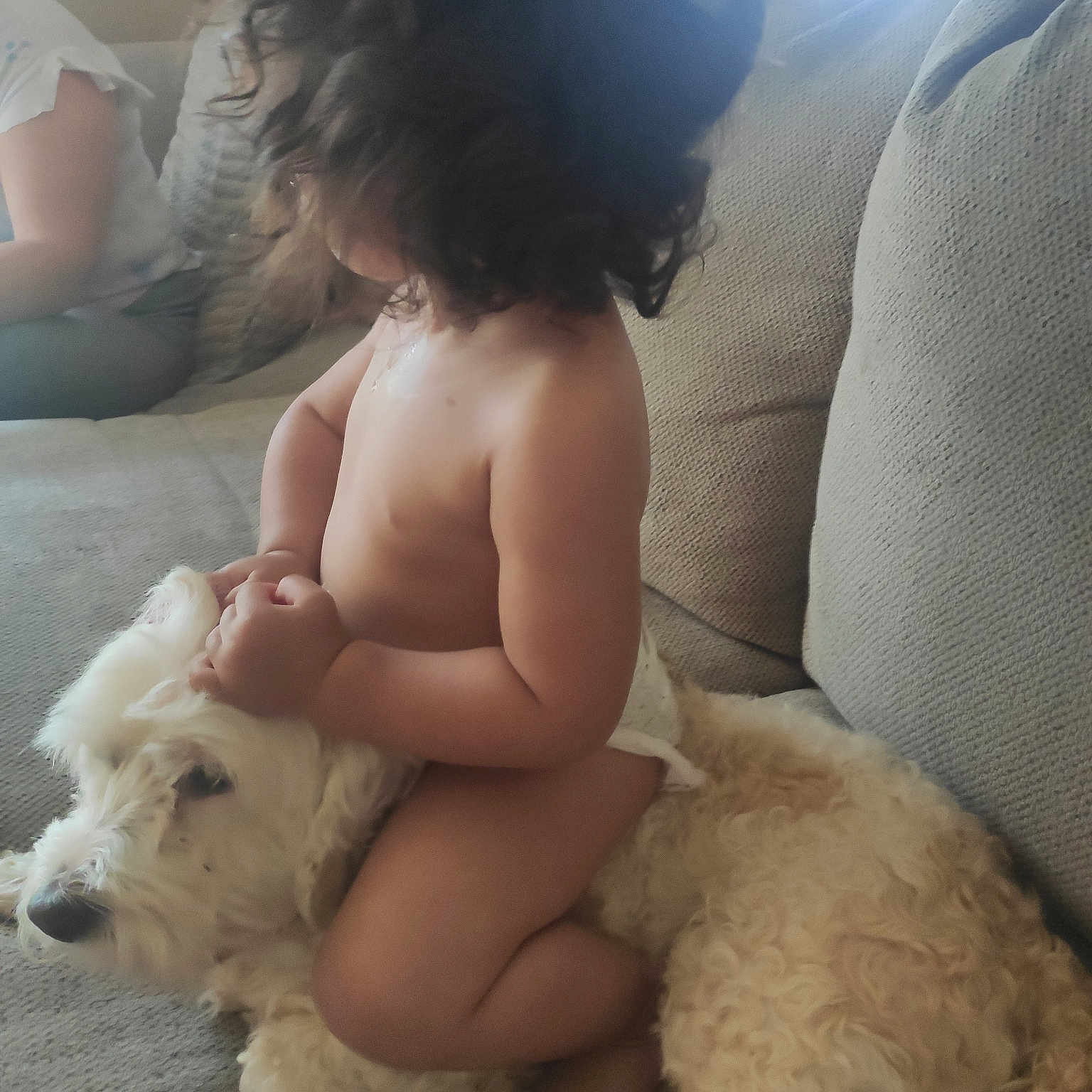 Marceline is registered to the contest to win money with this photo: abdomen, carnivore, chest, child, comfort, companion_dog, dog, dog_breed, fawn, foot, fur, happy, human_leg, knee, paw, skin, thigh, toddler, toy_dog, trunk
