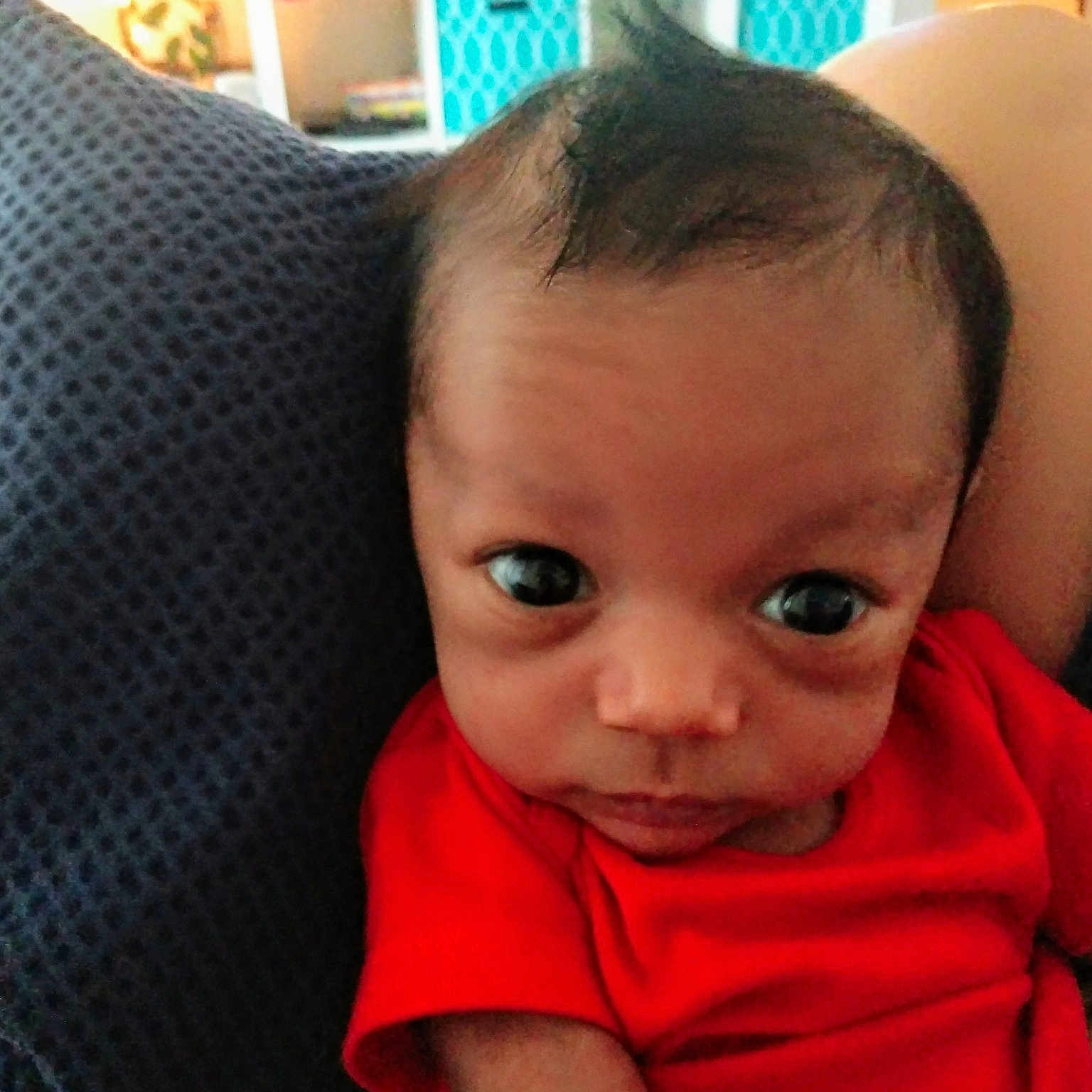 Winston joined the competition — help win amazing prizes! cheek, child, chin, day, ear, eye, eyebrow, face, forehead, girl, hair, hairstyle, head, infant, lip, mouth, nose, organ, person, skin