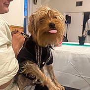 Molly joined the competition — help win amazing prizes! dog, person, indoor, leash, table, clothing, tongue_out, smile, seated, window, blurry_background, casual, small_dog, furry, light_skin, jacket, black_clothing, expression, pet, companion