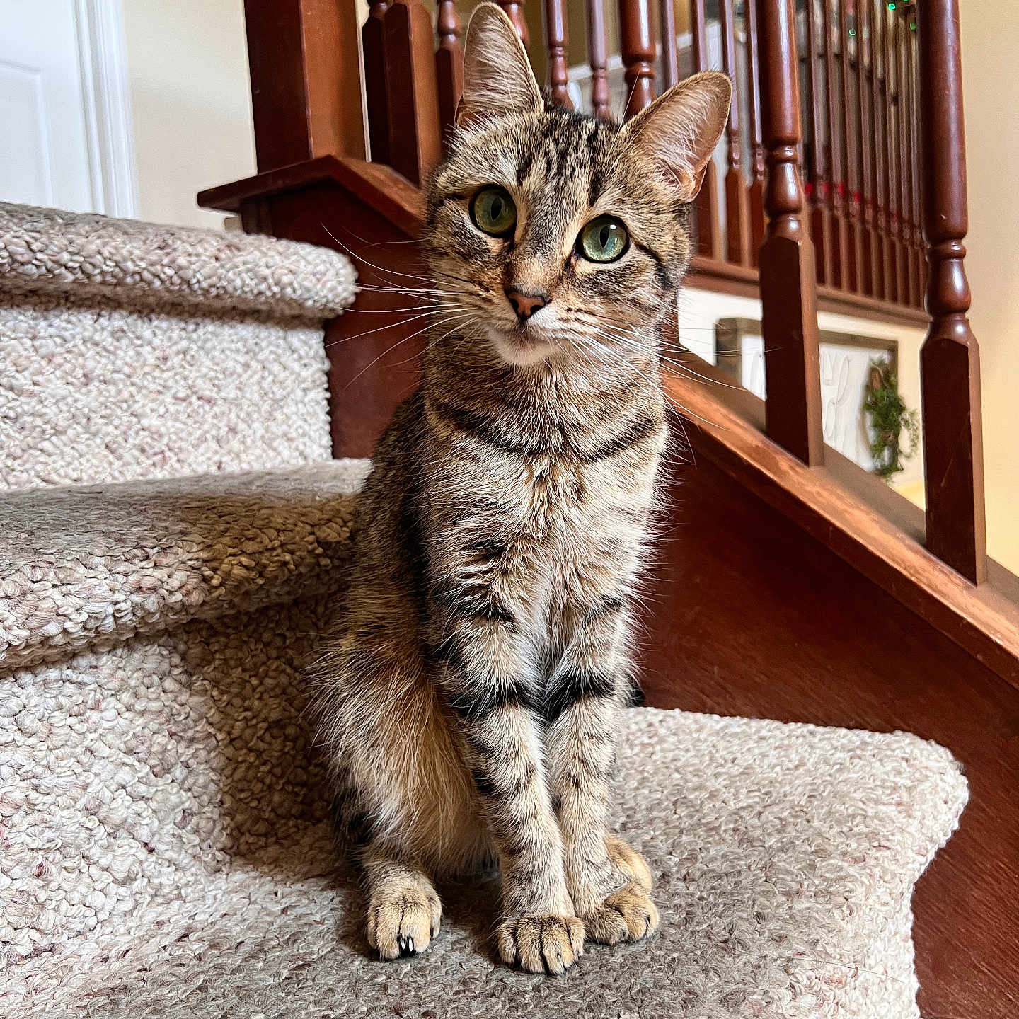 Eva