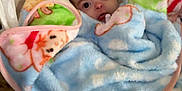 Karmyn joined the competition — help win amazing prizes! baby, blanket, child, colorful, cute, face, furniture, indoor, infant, lacy, looking, patterned, person, plush, sitting, soft, surprised, toddler, wood_floor, wrapped