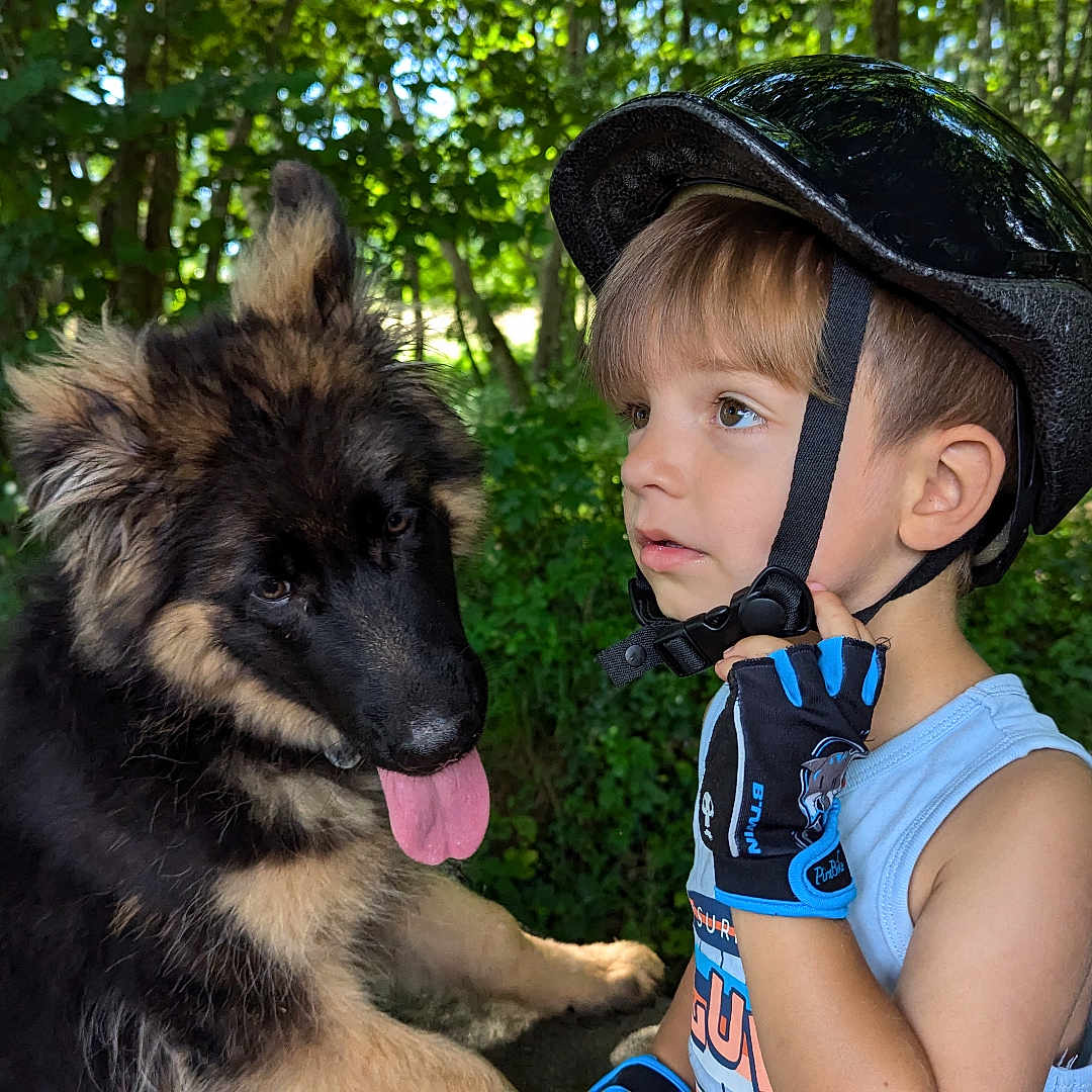 Vrinks a rejoint le concours — aidez-le/la à gagner de superbes lots ! animal, canine, clothing, dog, face, grass, hat, head, helmet, land, nature, outdoors, person, pet, photography, plant, portrait, tree, vegetation, woodland
