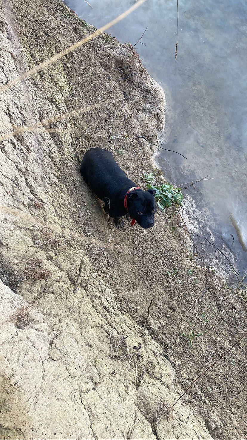 Redhot a rejoint le concours — aidez-le/la à gagner de superbes lots ! bedrock, concrete, geological_phenomenon, grass, pollution, recreation, road_surface, rock, shadow, slope, soil, tar