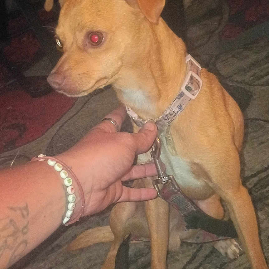 Pocket