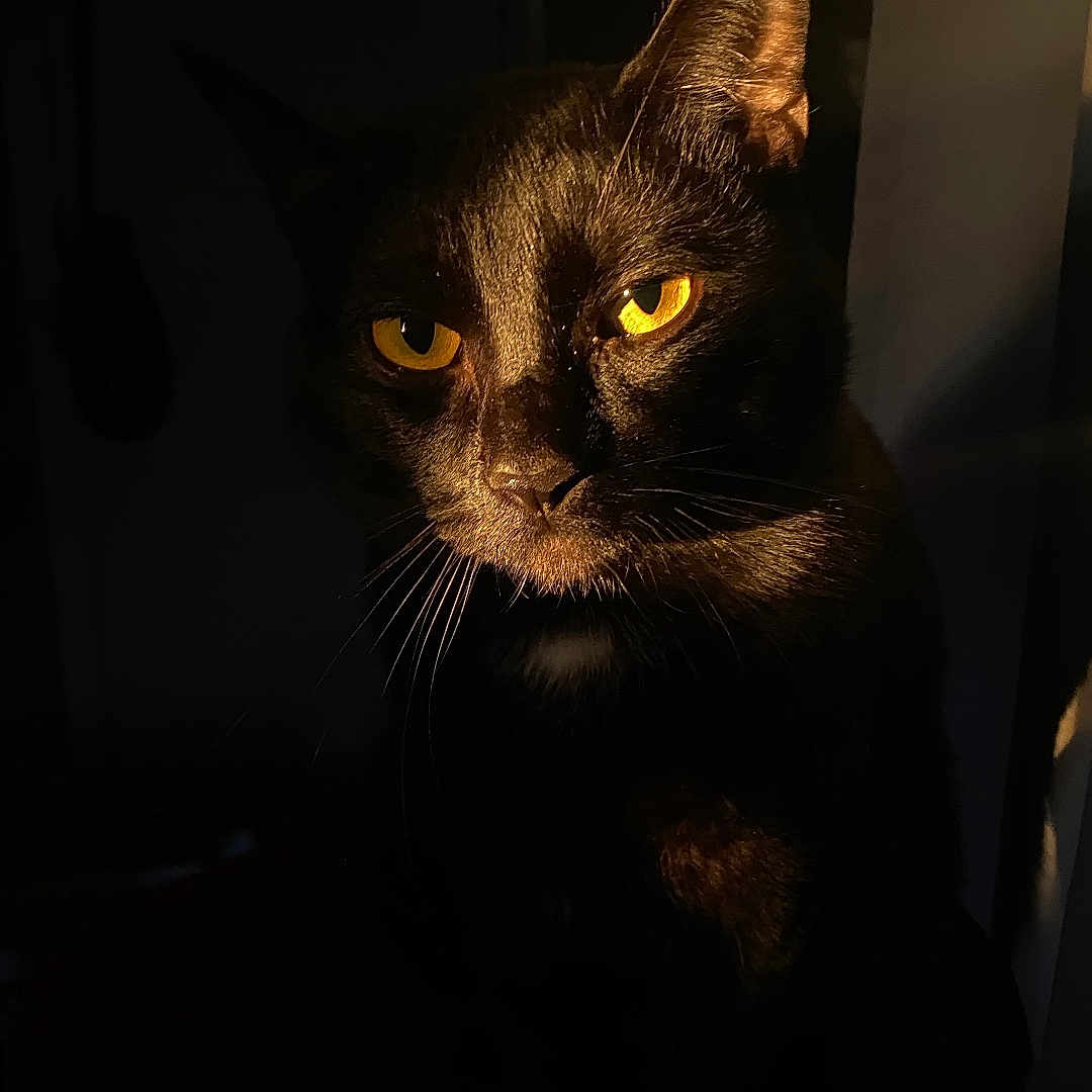 Bruce