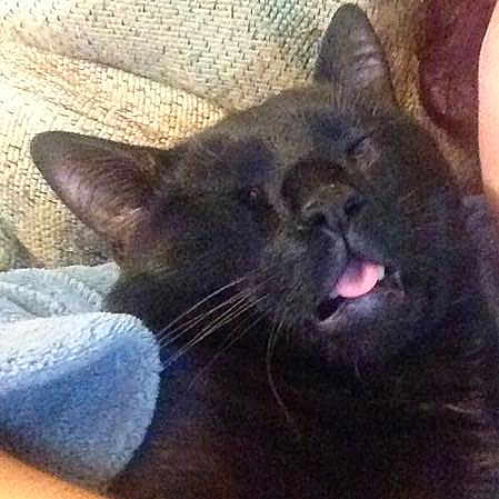 Binx