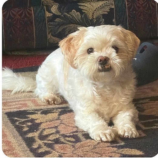 Barkley