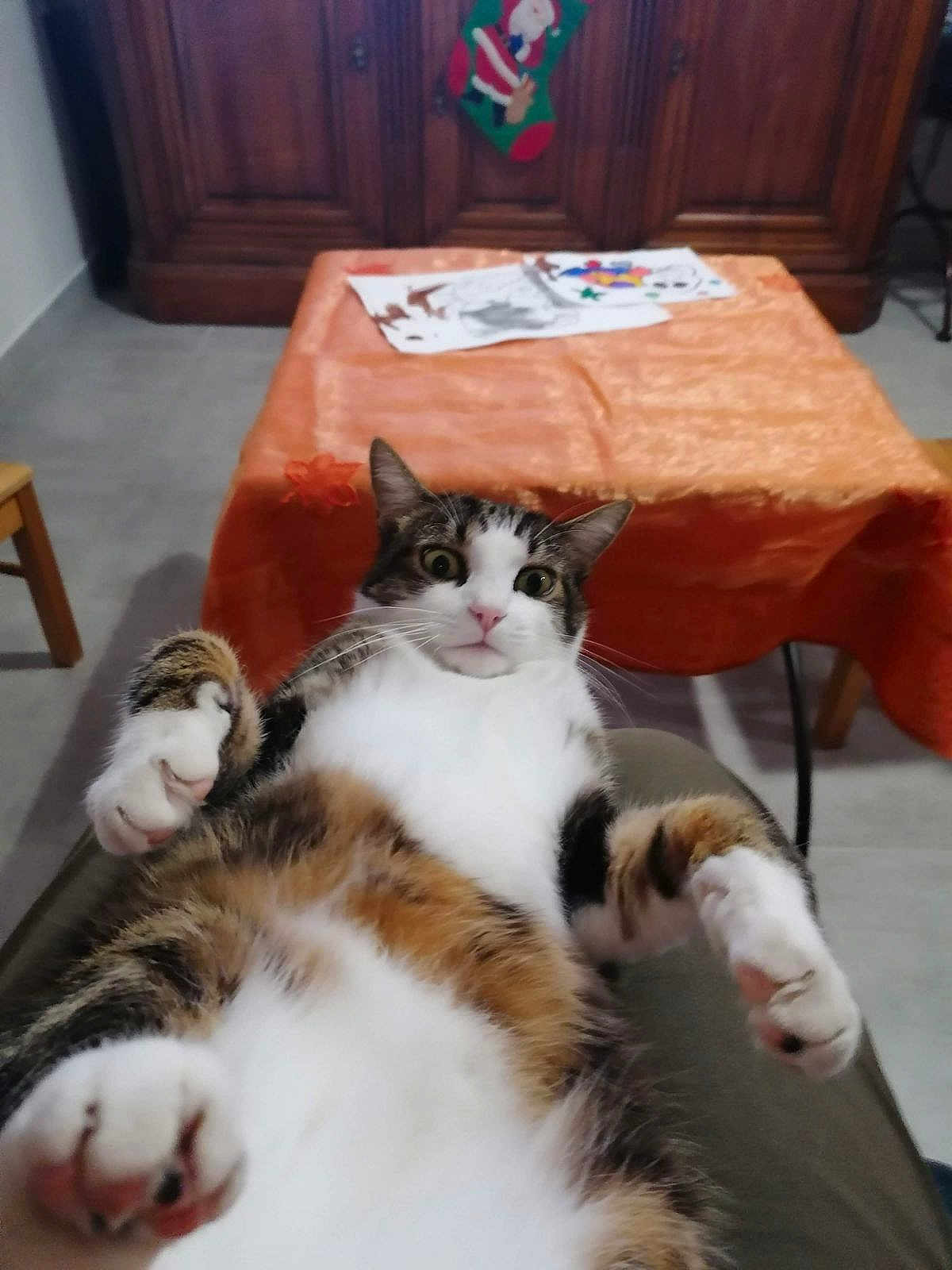 Oggy