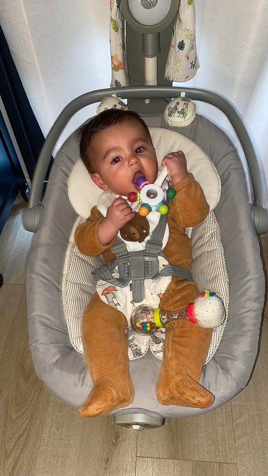 Liam participe au concours pour gagner de l'argent avec cette photo : baby, infant, baby_rocker, toy, colorful_toy, brown_outfit, indoor, floor, wooden_floor, child, face, chewing, straps, seat, comfort, cute, curious, baby_clothing, baby_accessory, baby_toy