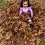 autumn, boots, child, curly_hair, grass, ground, happy, leaves, nature, oak_leaves, outdoors, park, pigtails, pile_of_leaves, pink_clothing, play, portrait, seasonal, smiling, toddler