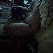 Waffles joined the competition — help win amazing prizes! dog, couch, blanket, indoor, resting, dark, shadow, grainy, low_light, fur, pet, home, furniture, cozy, animal, sleeping, soft, texture, quiet, relaxation