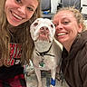 Gracie joined the competition — help win amazing prizes! dog, white_dog, two_women, smiling, indoors, hospital, bandage, pet, collar, happy, face, closeup, floor, tile, casual_clothing, plaid_pants, hoodie, long_hair, light_hair, seated