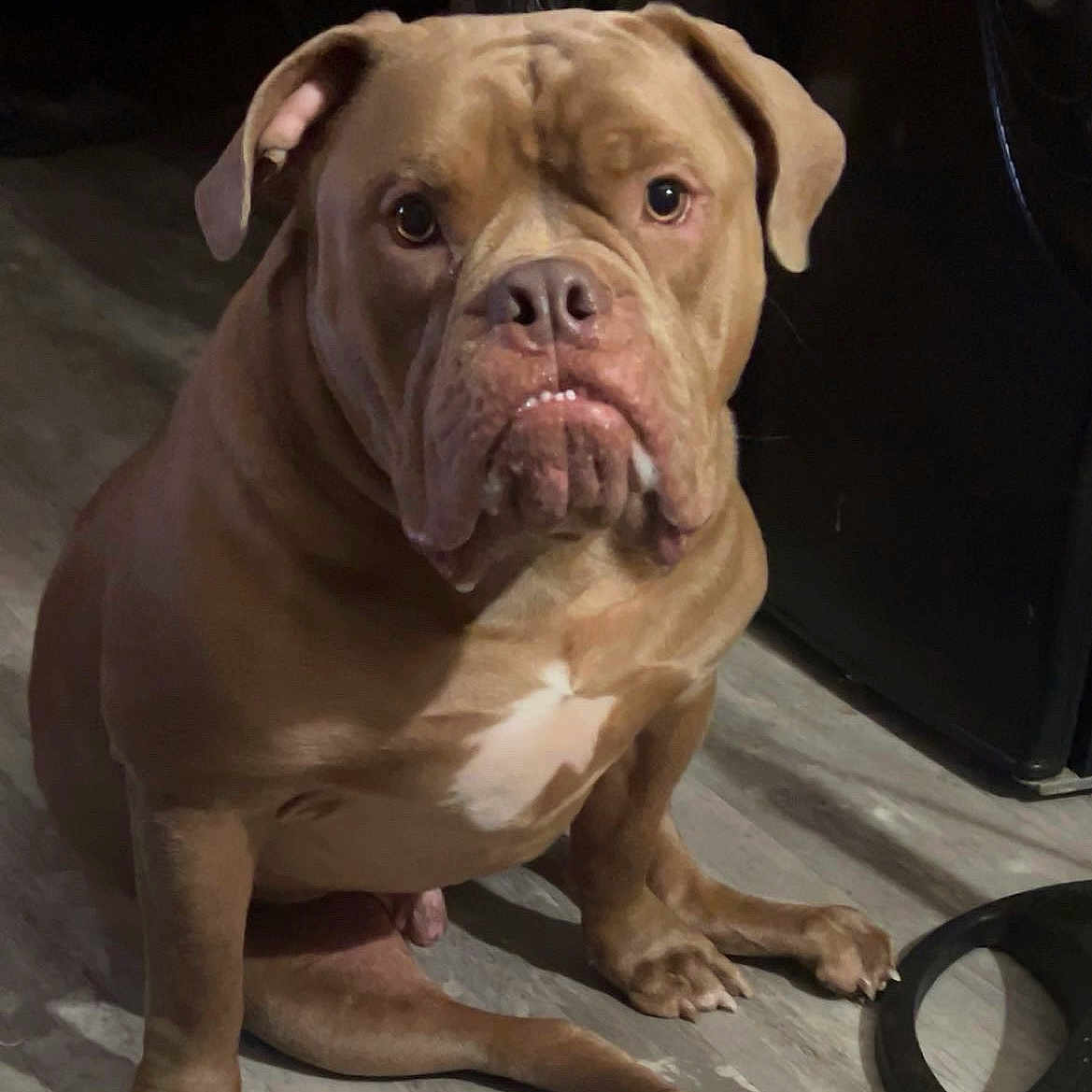Kilo