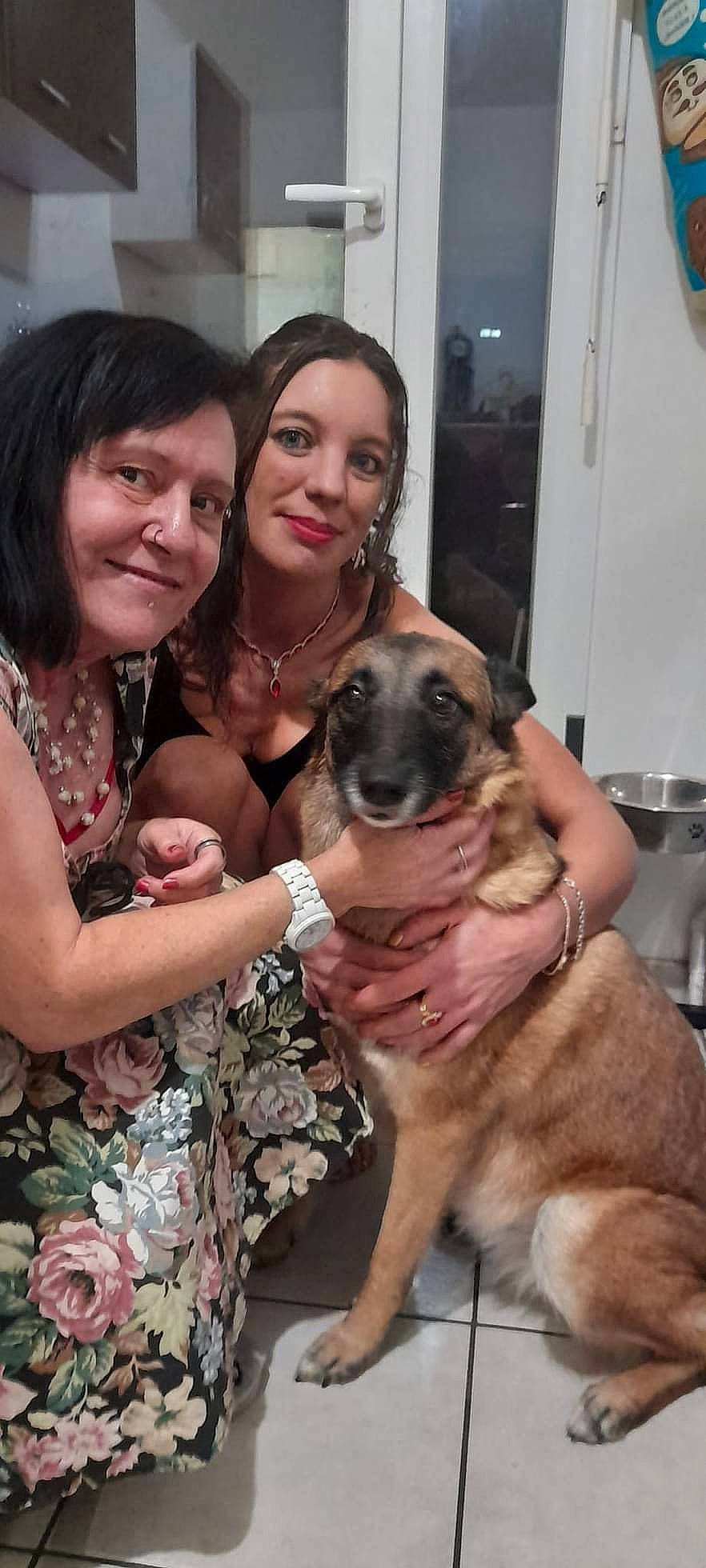 Pimkie participe au concours pour gagner de l'argent avec cette photo : canidae, carnivore, companion_dog, dog, dog_breed, door, event, fawn, fur, guard_dog, happy, iris, jewellery, kitchen_appliance, smile, snout, sporting_group, working_dog