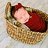 Rosie is registered to the contest to win money with this photo: newborn, baby, sleeping, basket, red_bow, headband, wrapped, blanket, woven_basket, wooden_floor, indoors, peaceful, cute, infant, portrait, cozy, resting, soft_lighting, child, head