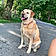 Lucy