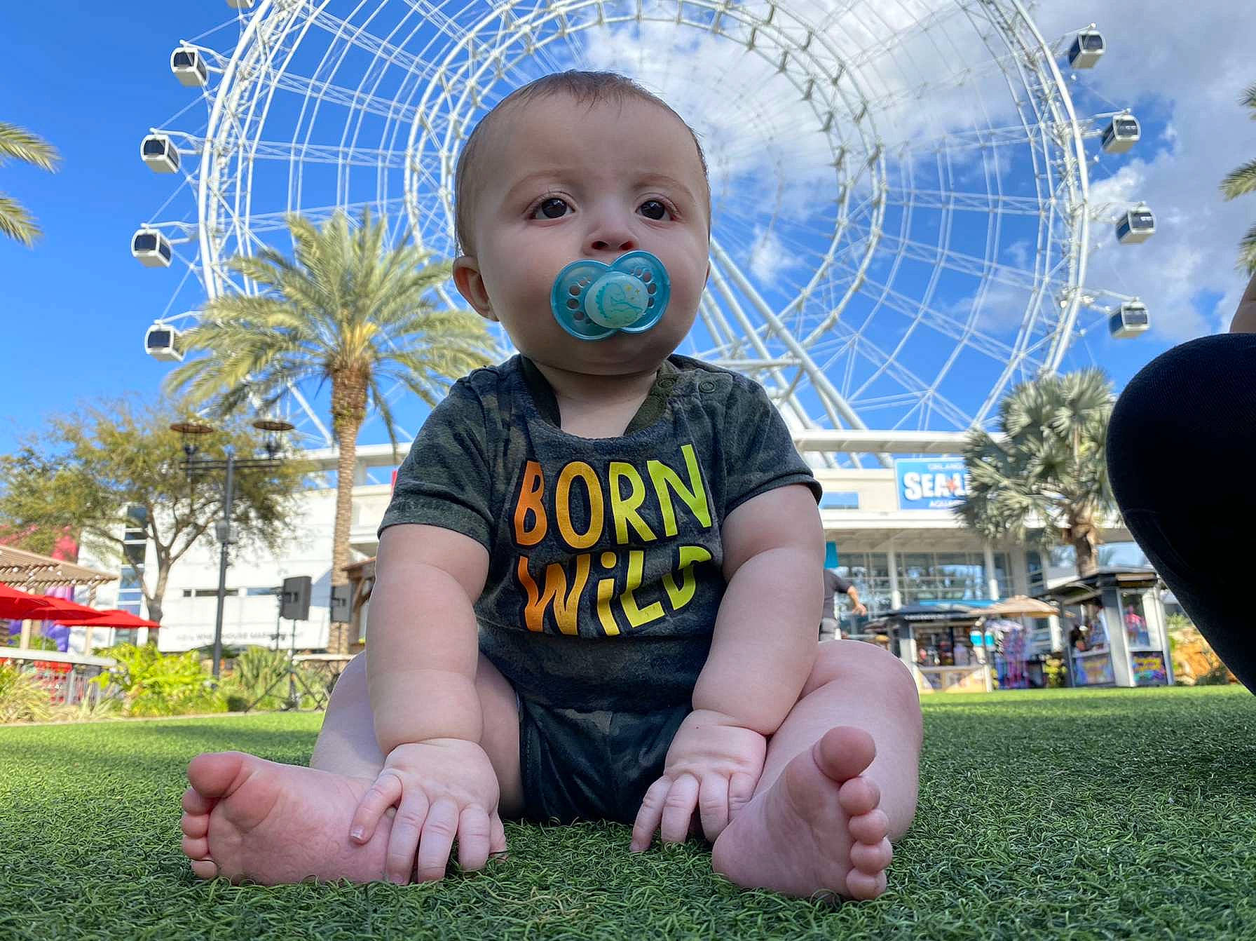 Kane is registered to the contest to win money with this photo: baby_toddler_clothing, blue, child, city, cloud, daytime, fun, grass, happy, head, landmark, leaf, leisure, nature, person, photograph, plant, recreation, sky, toddler