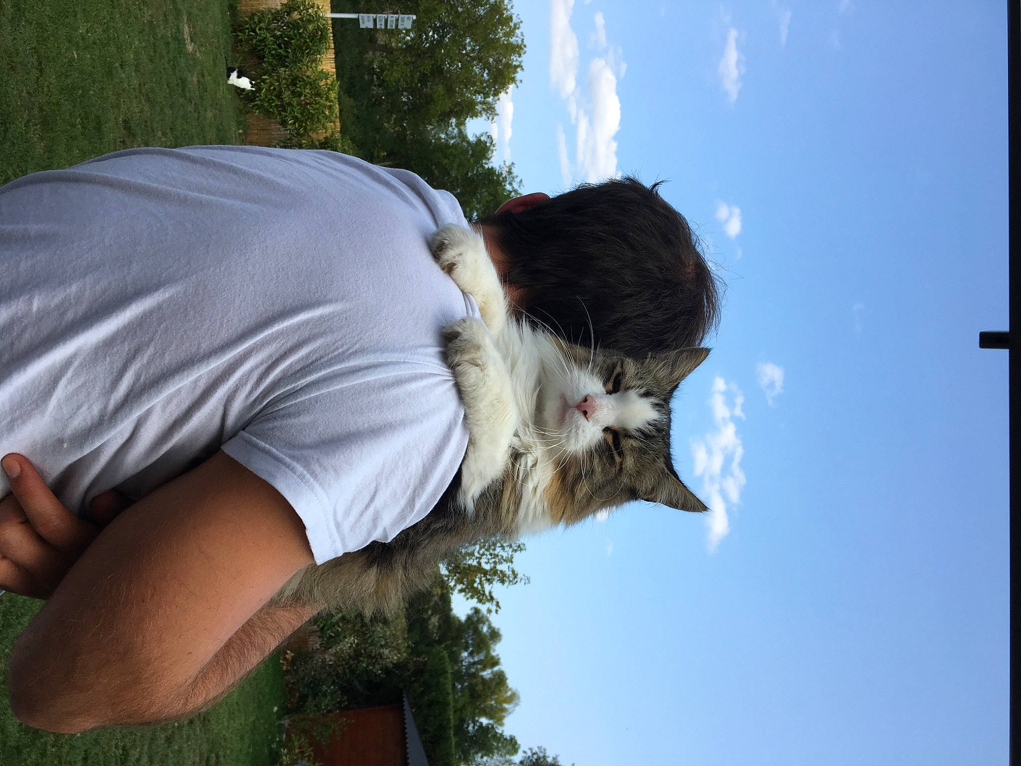 Sparrow participe au concours pour gagner de l'argent avec cette photo : abdomen, black_hair, chest, elbow, eyewear, felidae, fun, grass, happy, human_leg, knee, leisure, people_in_nature, sky, t_shirt, tail, thigh, tree, trunk, waist