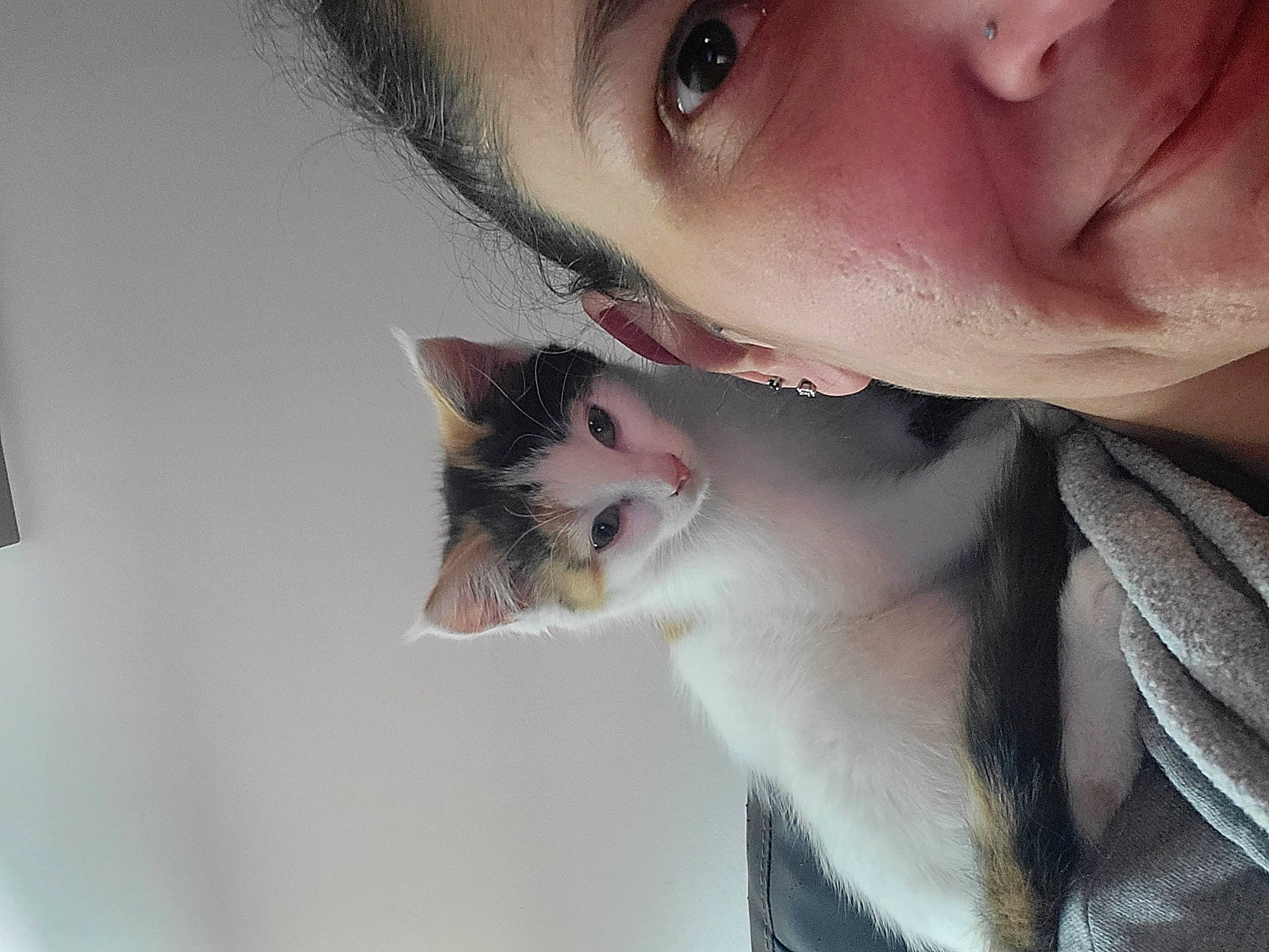 Khloe is registered to the contest to win money with this photo: beard, carnivore, cat, ear, eye, eyebrow, eyelash, felidae, flash_photography, gesture, happy, head, human_body, iris, jaw, lip, neck, nose, small_to_medium_sized_cats, whiskers