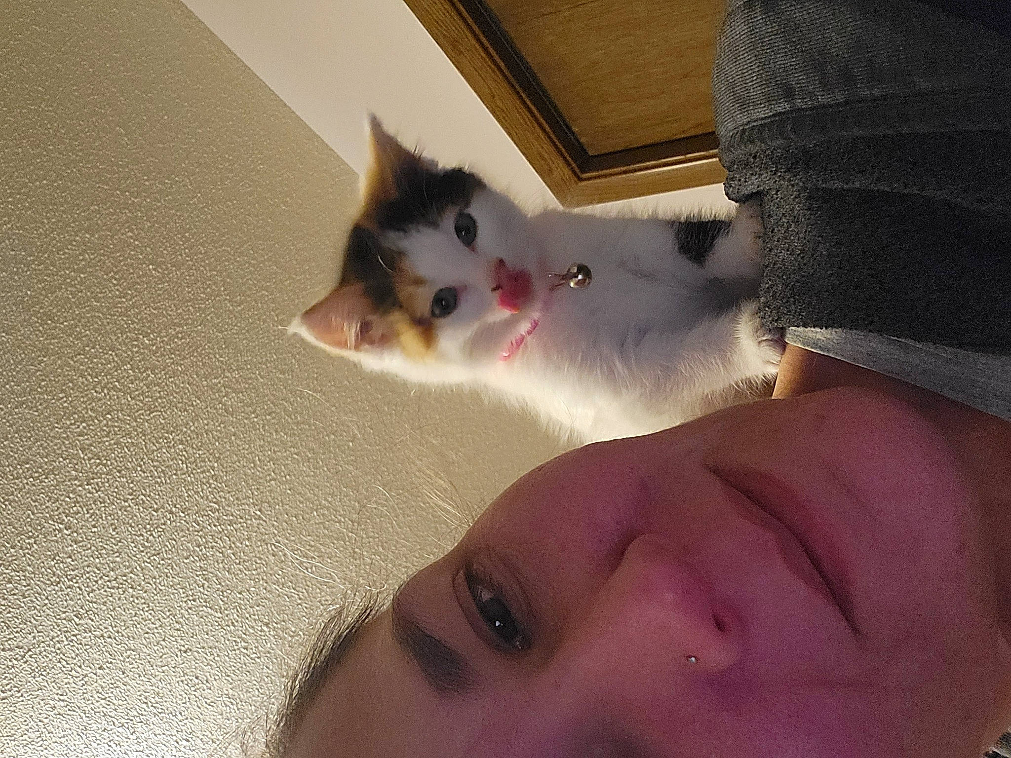 Khloe is registered to the contest to win money with this photo: carnivore, cat, chest, eye, eyelash, eyewear, felidae, flooring, gesture, hair, happy, human_body, iris, jaw, selfie, skin, small_to_medium_sized_cats, sunglasses, tail, whiskers