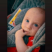 Bryan Todisco participe au concours pour gagner de l'argent avec cette photo : baby, infant, child, car_seat, quilted, gray, red_clothing, fingers, blue_eyes, face, portrait, sitting, indoors, cute, young_child, closeup, comfort, seatbelt, head_support, expression