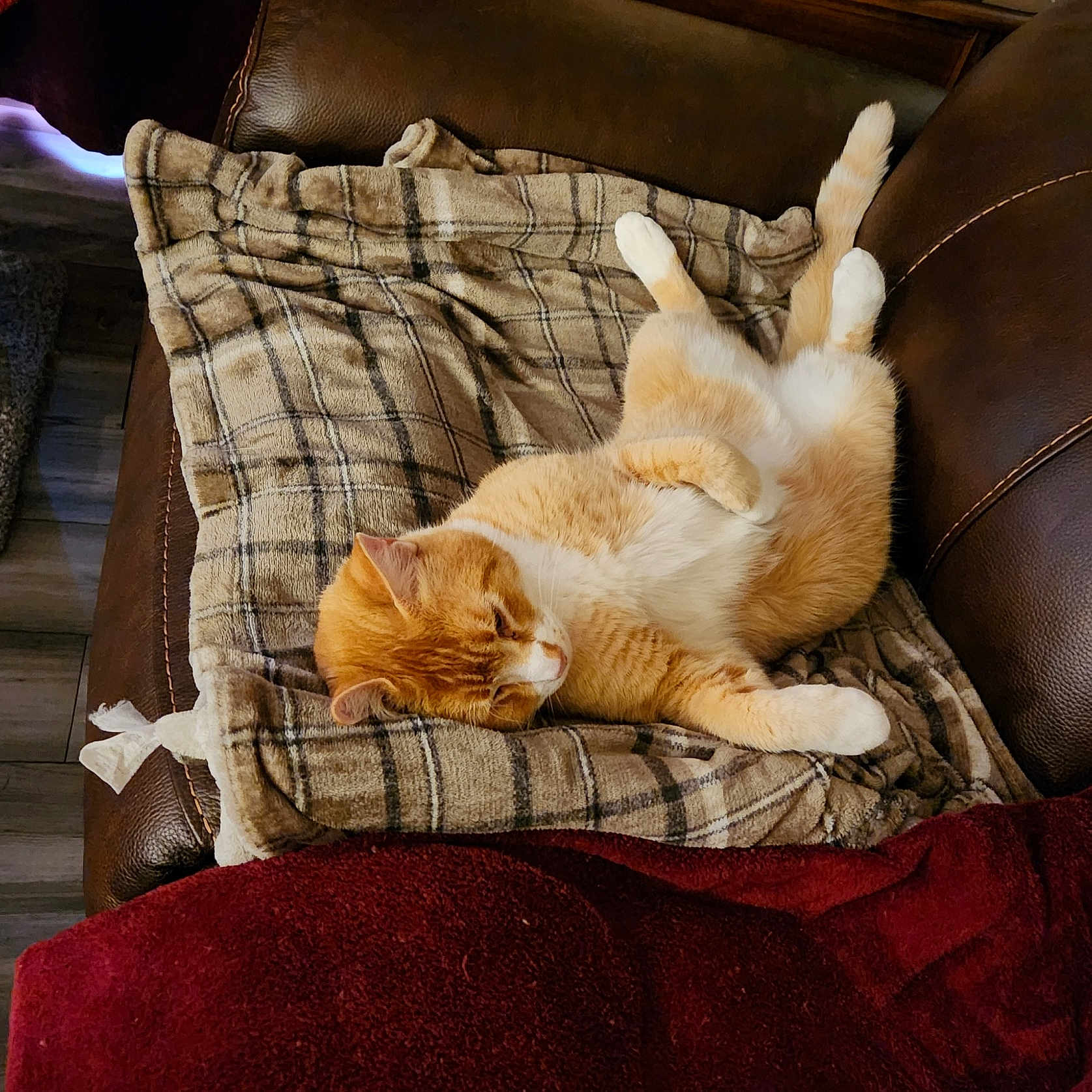 Toebean