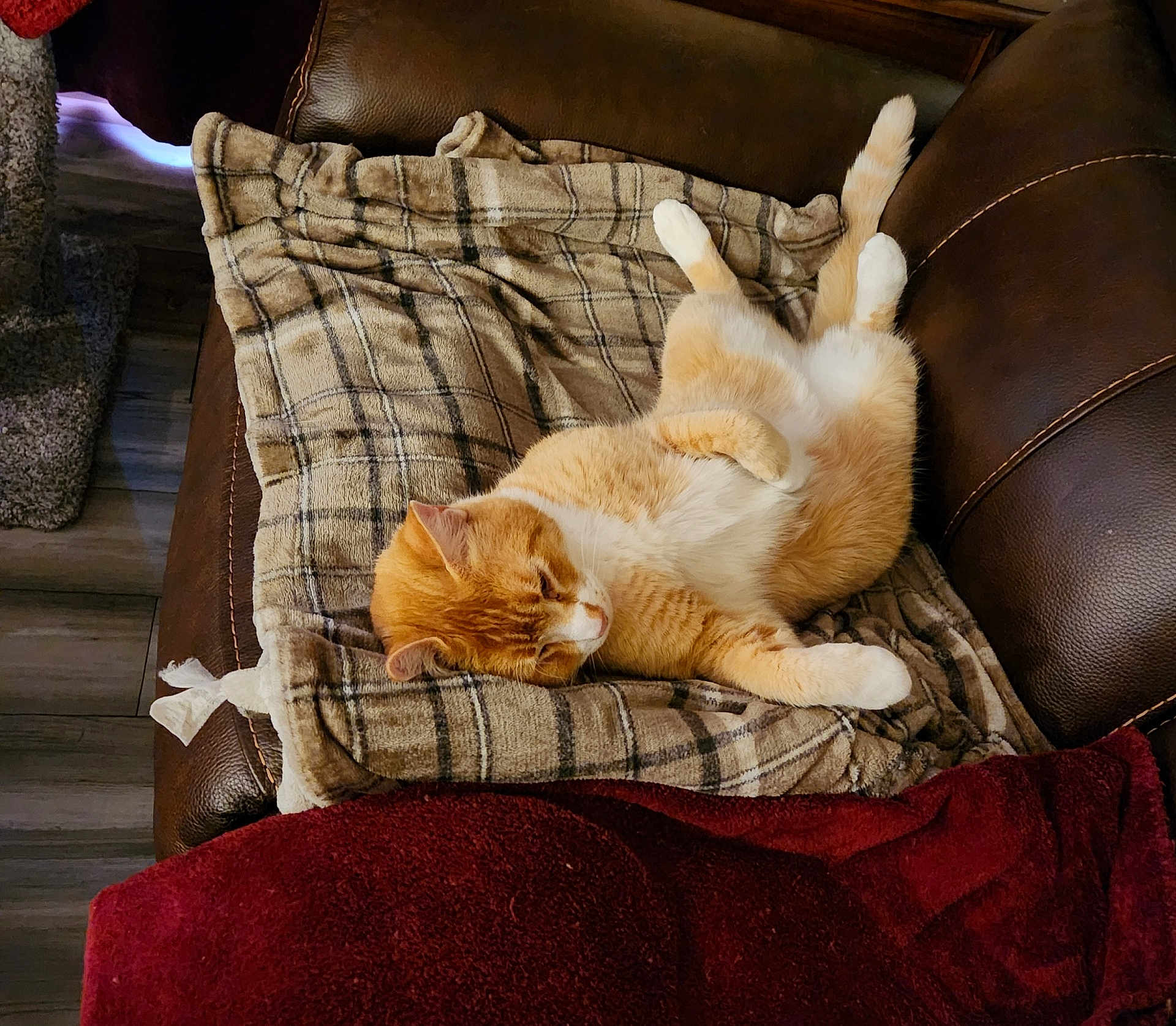 Toebean