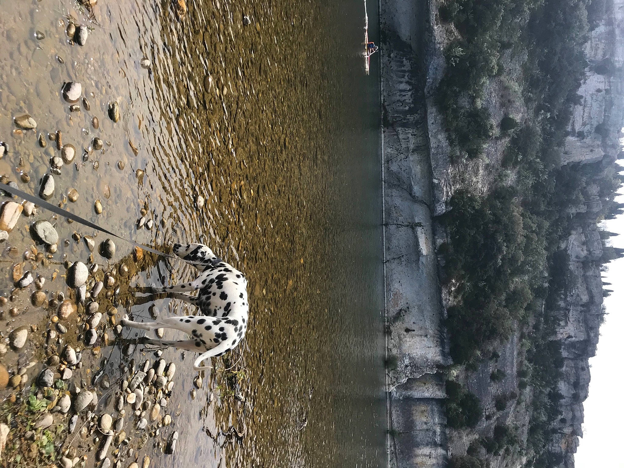 Otis a rejoint le concours — aidez-le/la à gagner de superbes lots ! art, composite_material, concrete, grey, liquid, metal, reflection, rock, shadow, sky, soil, tints_and_shades, tree, trunk, water, wood