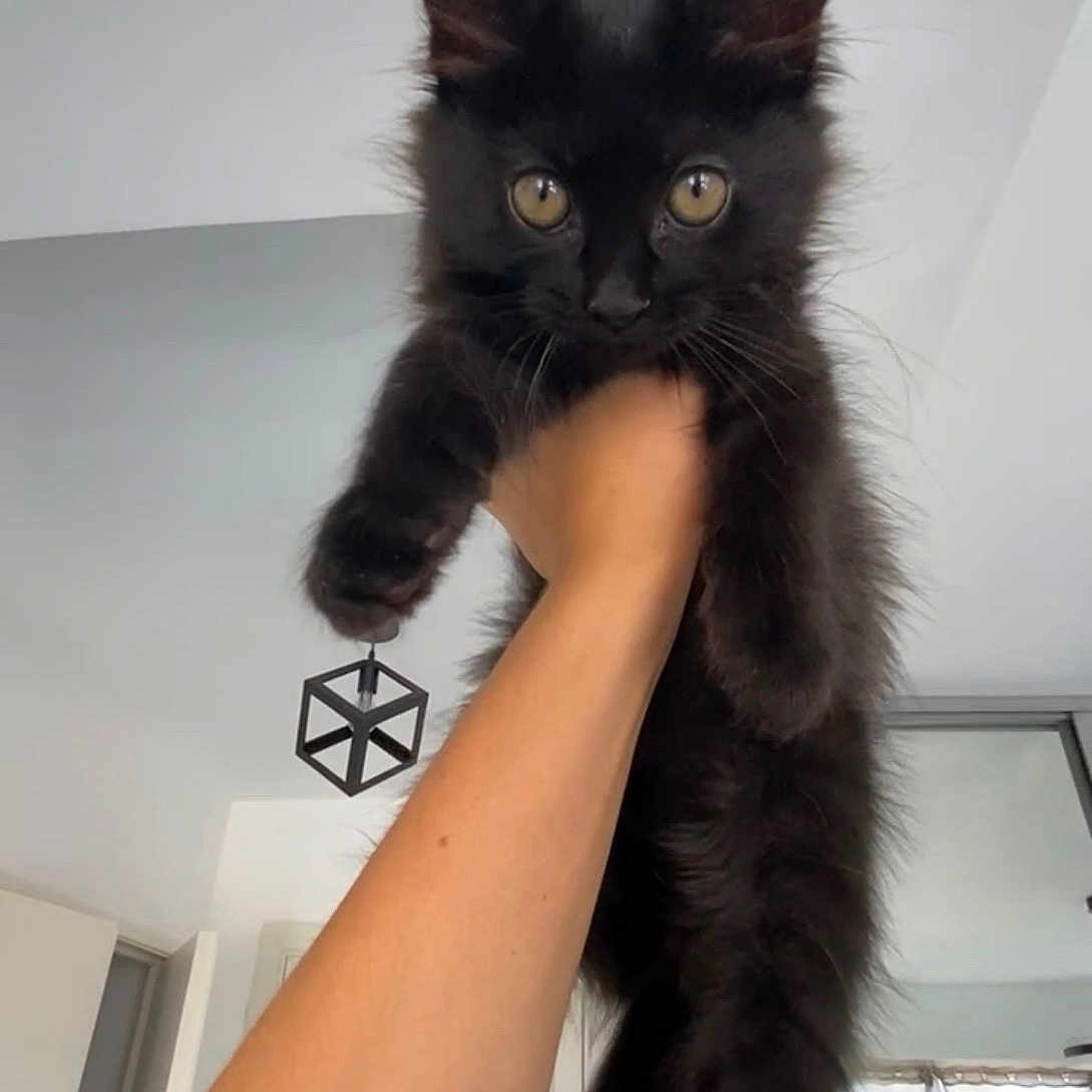 Blacky